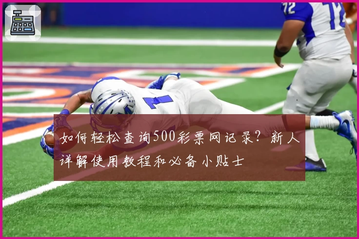 如何轻松查询500彩票网记录？新人详解使用教程和必备小贴士