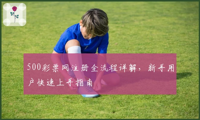 500彩票网注册全流程详解,新手用户快速上手指南