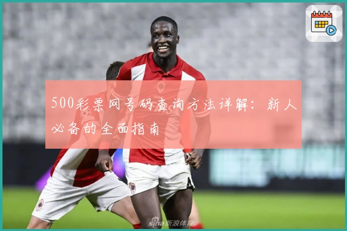 500彩票网号码查询方法详解：新人必备的全面指南